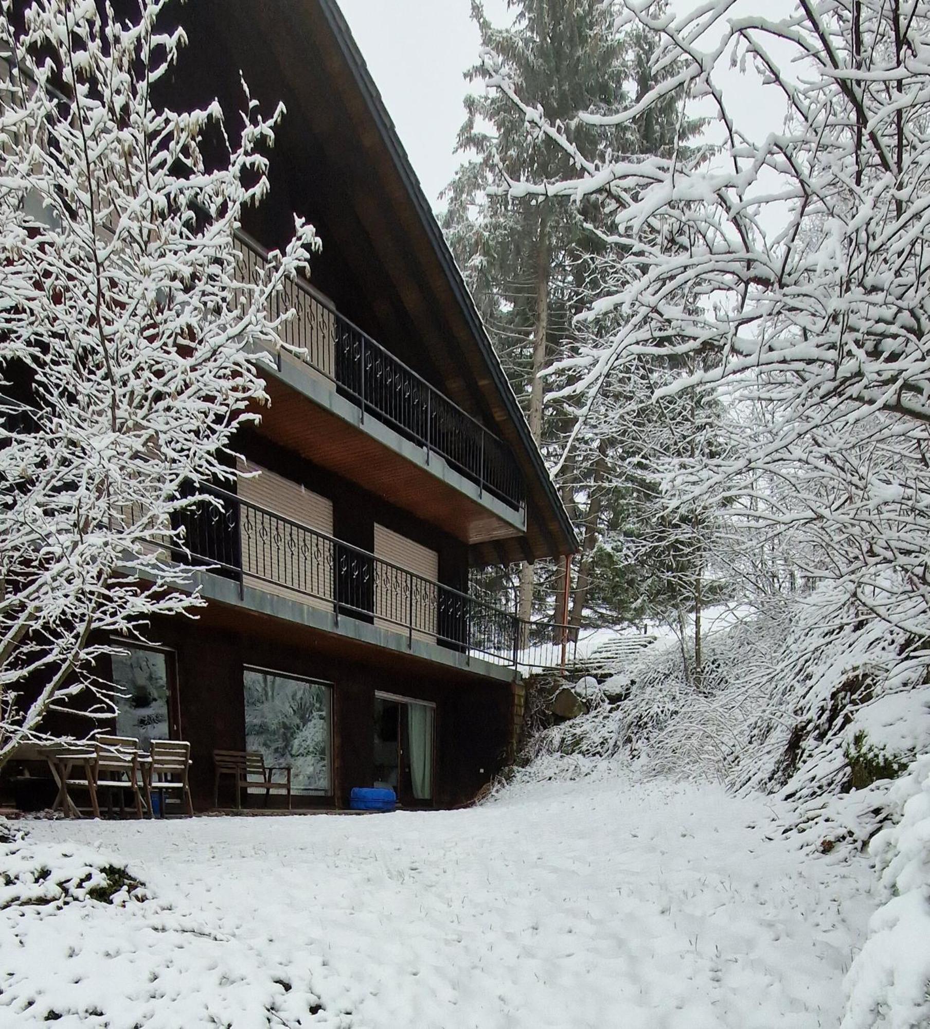 Ferienwohnung In Schoenwald Schwarzwald Ngoại thất bức ảnh